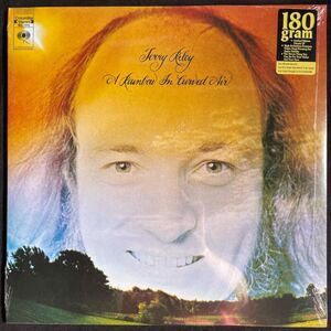 Terry Riley A Rainbow In Curved Air  180 Gram Vinyl, LP, City Hall Records NEW